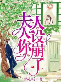 夫人你人設崩了封面