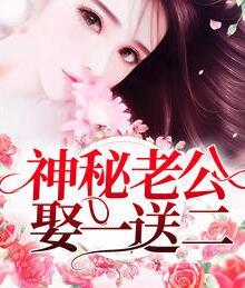神秘老公娶一送二封面