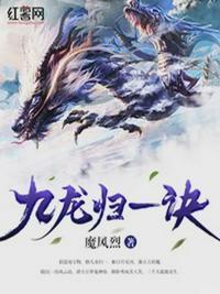 九龍歸一訣封面