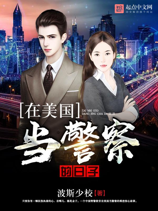 在美國當(dāng)警察的日子封面