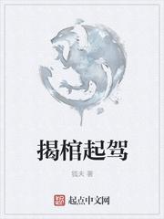 辛恬沈子洋小說封面