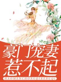 深情已遲暮小說(shuō)免費(fèi)閱讀封面