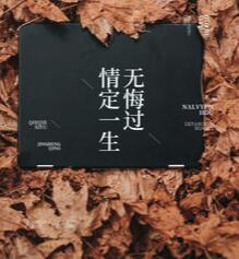 上門龍婿葉辰蕭初然全文免費(fèi)聽書封面