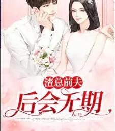 渣總前夫后會(huì)無期封面