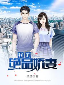 沈小知褚南后續(xù)封面