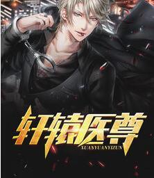 軒轅醫(yī)尊封面