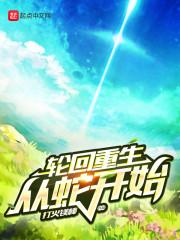 沈知星傅承熠txt封面