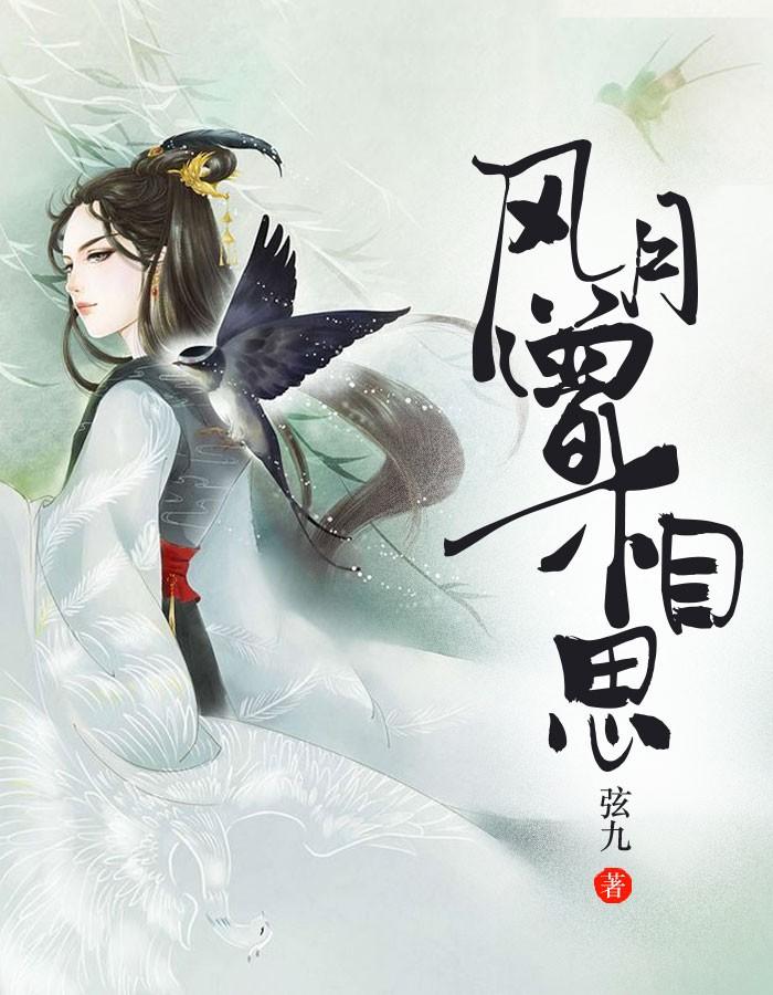 小說(shuō)顧成歡申屠鏡全文封面