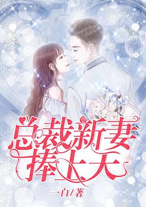 總裁新妻捧上天封面