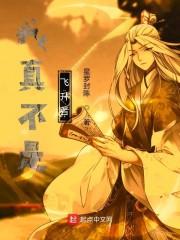 我真不是飛升者封面