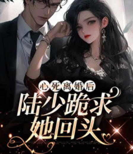 心死離婚后陸少跪求她回頭封面