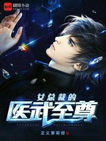 女總裁的醫(yī)武至尊封面