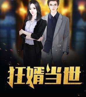 狂婿當(dāng)世封面