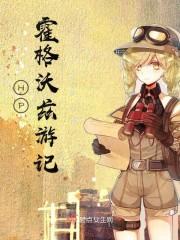 HP霍格沃茲游記封面