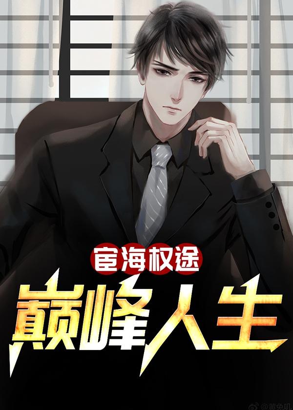 宦海權(quán)途：巔峰人生封面