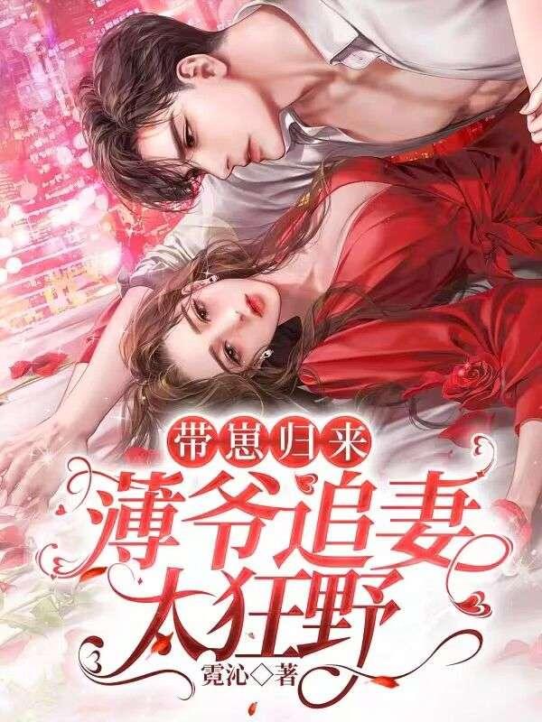 顧念安薄夜寒封面