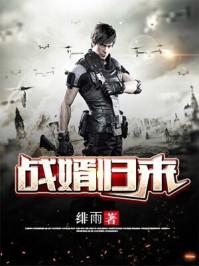 戰(zhàn)婿歸來(lái)封面