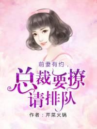 蘇清清賀明硯txt封面