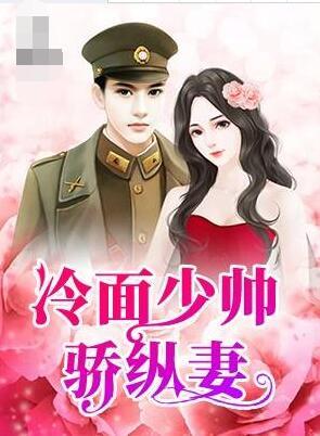 冷面少帥驕縱妻封面