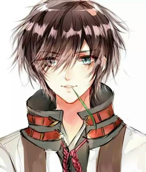 醫(yī)武仙尊封面