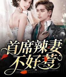 首席辣妻不好惹封面