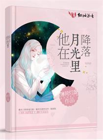 他在月光里降落封面