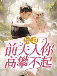 楚綿顧妄琛封面