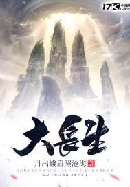 葉飛揚(yáng)陳小暖小說叫什么名字封面