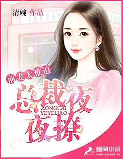 美女的超強近衛(wèi)趙東蘇菲封面