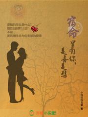 你的溫柔變了心小說封面