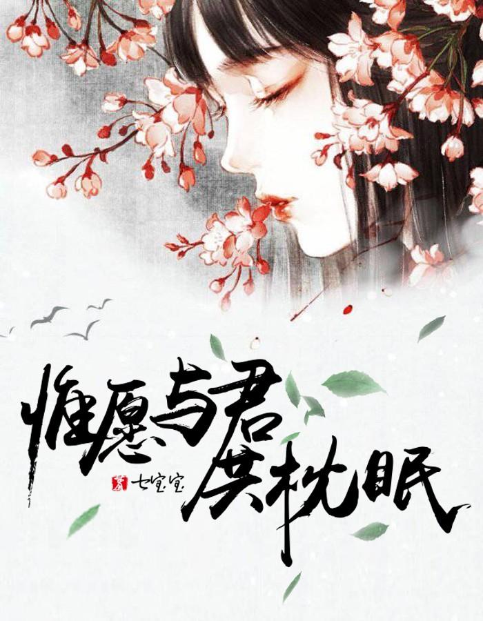 沈宜安燕嬰封面