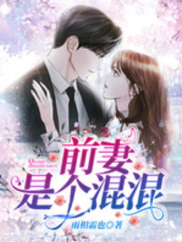 前妻是個(gè)混混路飛飛竇榮免費(fèi)封面