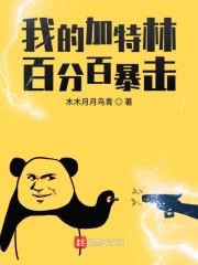 六把無(wú)盡的加特林封面