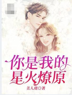 你是我的星火燎原免費(fèi)閱讀封面