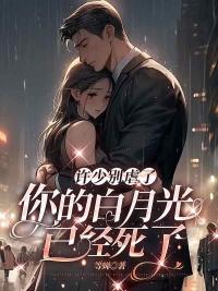 許斯臣段寧什么小說封面