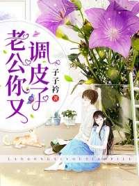 傅時(shí)北盛明月封面