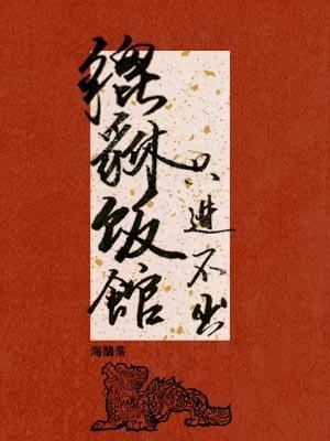 夏安禾傅龍宸小說全集封面