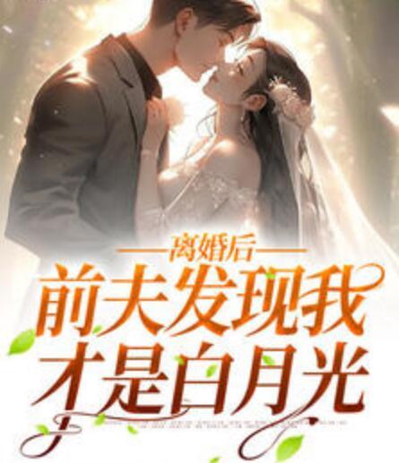 離婚后，前夫發(fā)現(xiàn)我才是白月光封面