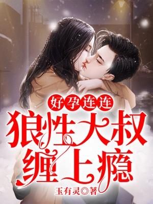 謝錦年沈長安封面