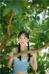 墨總，恭喜，你終于自由了封面