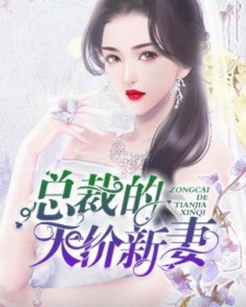 總裁的天價新妻封面