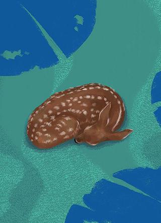 全集穿書七零彪悍女村姑封面