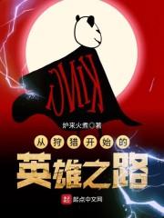 我擁有全部攻略經(jīng)驗，你讓我做替代品封面