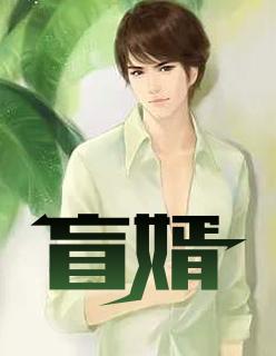 柳云煙葉子默主角封面