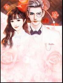 顧遲遲傅聿西封面