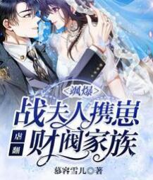 風(fēng)雪歌戰(zhàn)曜霆封面