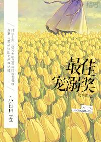 豪婿葉凡秋沐橙封面