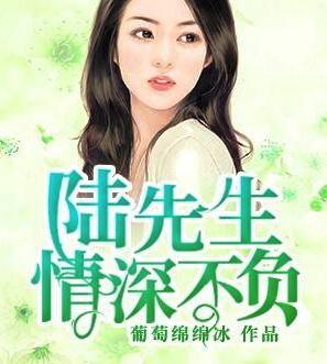 秦瀾陸識川封面