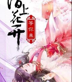 陌上花開等你來封面