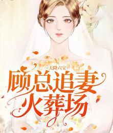 顧總追妻火葬場封面